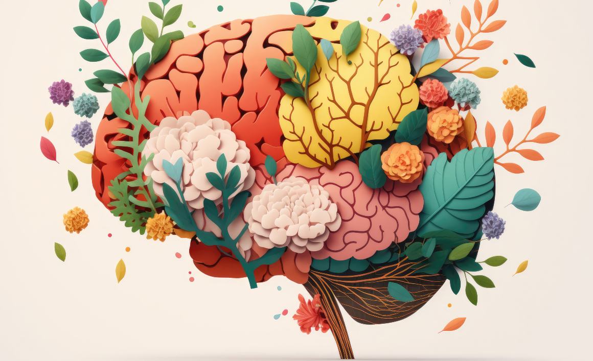 Hvilke omegafedtsyrer er bedst for hjernens sundhed?